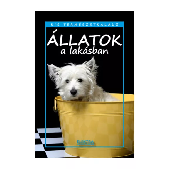 Állatok a lakásban