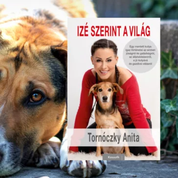 A képen az Izé szerint a világ című könyv látható egy kutyával a háttérben.