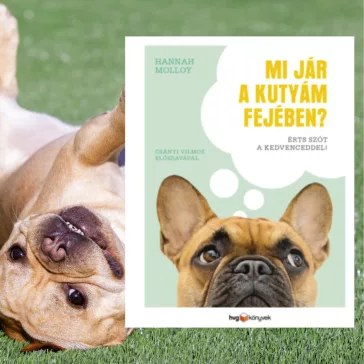 Mi jár a kutyám fejében? - Érts szót a kedvenceddel!