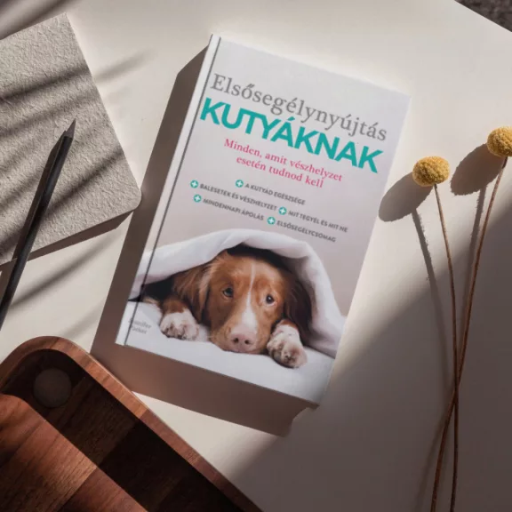A képen az Elsősegélynyújtás kutyáknak című könyv látható a háttérben egy takaróba bugyolált kutyával.