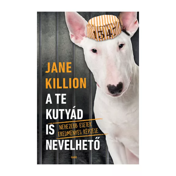A képen az A te kutyád is nevelhető című könyv látható egy kutyával a háttérben.