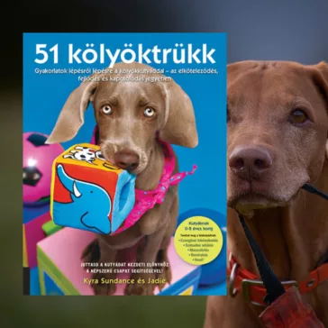A képen az 51 kölyöktrükk című könyv látható két vizslával a háttérben.