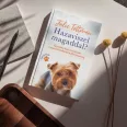 A képen a Hazaviszel magaddal című könyv látható a háttérben egy yorkival.