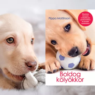 A képen a Boldog kölyökkor című könyv látható a háttérben egy labrador kölyök.