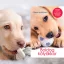 A képen a Boldog kölyökkor című könyv látható a háttérben egy labrador kölyök.