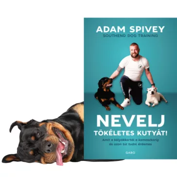 A képen a Nevelj tökéletes kutyát című könyv látható egy rottweiler kutyával a háttérben.