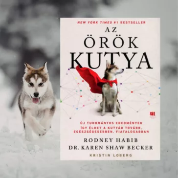 A képen Az örök kutya című könyv látható a háttérben egy huskyval.