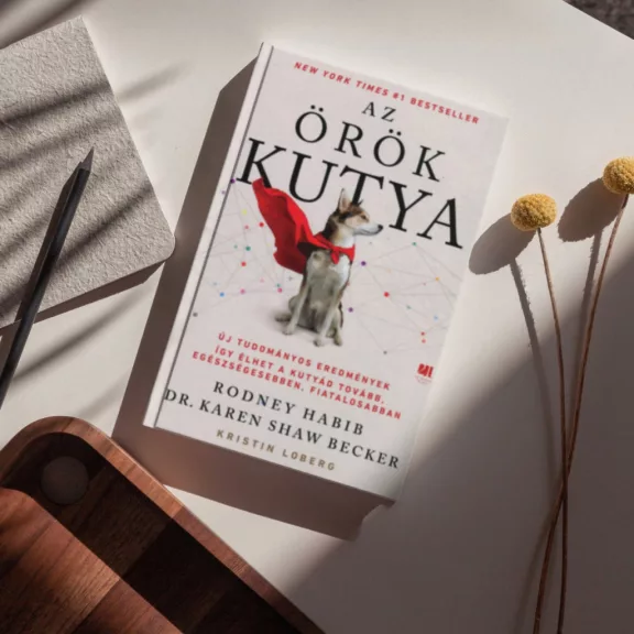 A képen Az örök kutya című könyv látható a háttérben egy huskyval.