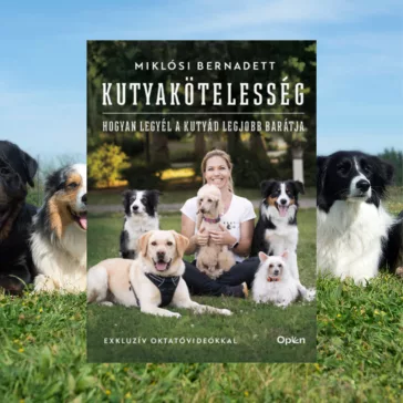 A képen a Kutyakötelesség című könyv látható a háttérben kutyákkal.