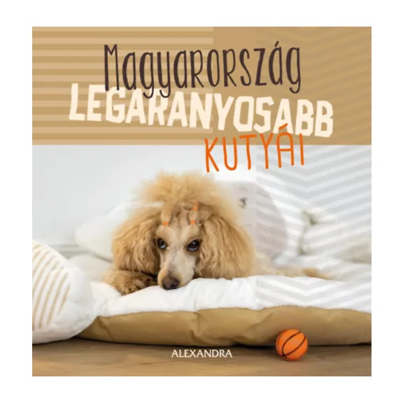 A képen a Magyarország legaranyosabb kutyái 365 gondolat című könyv látható a háttérben egy pudli.