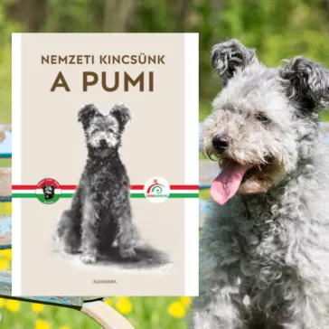 A képen a Nemzeti kincsünk A pumi című könyv látható a háttérben egy pumival.