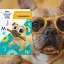 Disney - Írás-előkészítő a Kutyapajtikkal