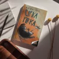 A képen a Cirka és Firka című könyv látható a háttérben két macska.