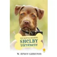 A képen az Egy kutya hazatér Shelby története című könyv látható a háttérben egy pitbull.