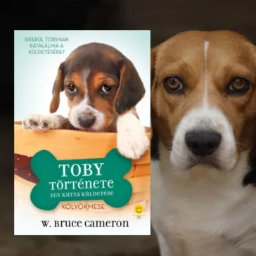 A képen az Egy kutya küldetése Toby története című könyv látható a háttérben egy beagle.