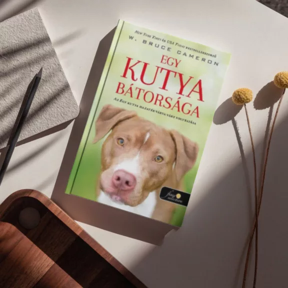 A képen az Egy kutya bátorsága című könyv látható a háttérben egy kutya alakjával.