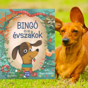 Bingó és az évszakok