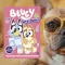 A képen a Bluey Játsszunk együtt című matricás foglalkoztatokonyv látható a háttérben egy francia bulldoggal.