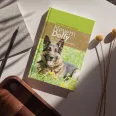 Nevem Dolly - Egy árva németjuhász emlékirata