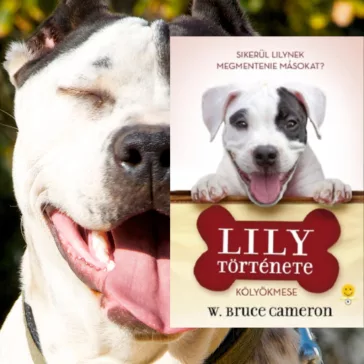 A képen a Lily története című könyv látható a háttérben egy pitbull.