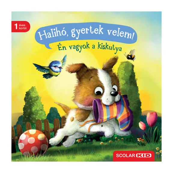 A képen a Halihó gyertek velem című könyv látható a háttérben két sétáló kutyával.