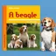 A képen A beagle című könyv látható kutyás témájú háttérrel.