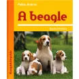 A képen A beagle című könyv látható kutyás témájú háttérrel.
