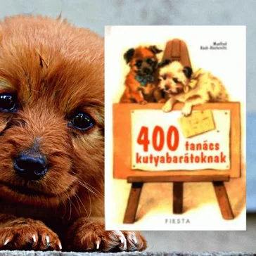 A képen a 400 tanács kutyabarátoknak című könyv látható egy kutyával a háttérben.