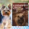 A képen A yorkshire terrier 1x1 kalauz című könyv látható a háttérben egy yorkshire terrier.