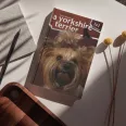 A képen A yorkshire terrier 1x1 kalauz című könyv látható a háttérben egy yorkshire terrier.