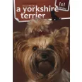 A képen A yorkshire terrier 1x1 kalauz című könyv látható a háttérben egy yorkshire terrier.