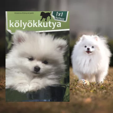 A képen a Kölyökkutya 1x1 kalauz című könyv látható a háttérben egy pomerániai törpespicc.