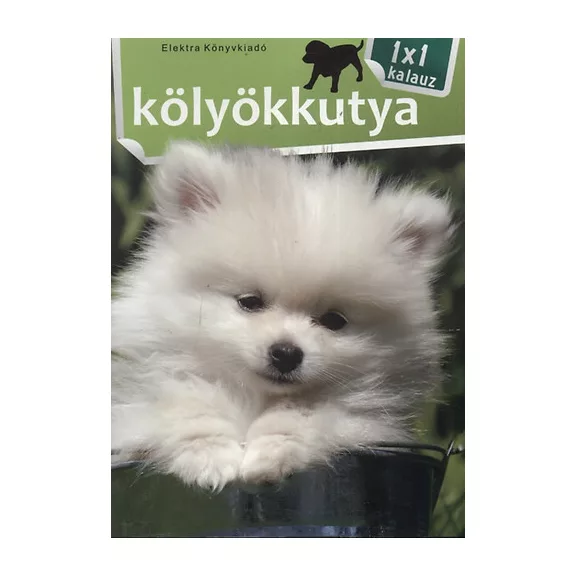 A képen a Kölyökkutya 1x1 kalauz című könyv látható a háttérben egy pomerániai törpespicc.