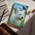 A képen A westie 1x1 kalauz című könyv látható a háttérben egy westie a fűben.
