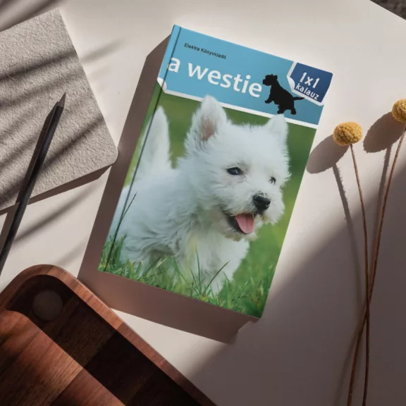 A képen A westie 1x1 kalauz című könyv látható a háttérben egy westie a fűben.