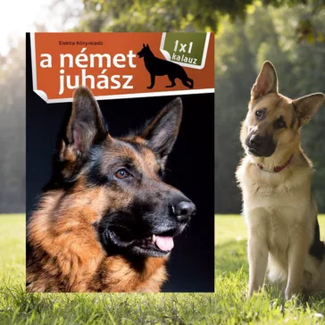 A képen A német juhász című könyv látható a háttérben egy német juhászkutyával.