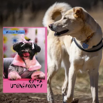 A képen a Kutya utónévkönyv című könyv látható kutyás témájú háttérrel.