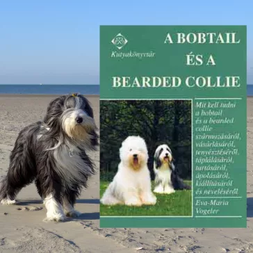 A képen A bobtail és a bearded collie című könyv látható kutyás témájú háttérrel.