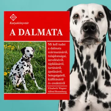 A képen A dalmata című könyv látható kutyás témájú háttérrel.