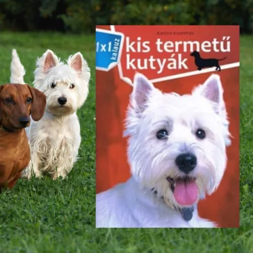 A képen a Kis termetű kutyák 1x1 kalauz című könyv látható a háttérben egy tacskó és egy westie.