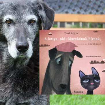 A kutya, akit Macskának hívnak, összeakad egy macskával