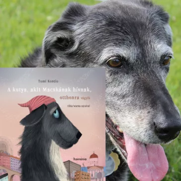A kutya, akit Macskának hívnak, otthonra vágyik