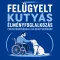 Felügyelt kutyás élményfoglalkozás fogyatékossággal élő résztvevőknek