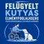 Felügyelt kutyás élményfoglalkozás fogyatékossággal élő résztvevőknek