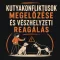 Kutyakonfliktusok megelőzése és vészhelyzeti reagálás