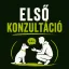Első konzultáció és helyzetértékelés