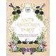 Antik anatómia tarot - Kártyacsomag és kézikönyv modern misztikusoknak