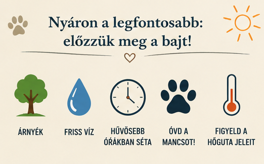 09_megelozes_osszefoglalo_vegleges.png