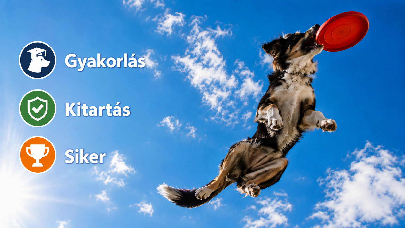 Kutyatréner, gazdi és kamasz kutya közös gyakorlás közben